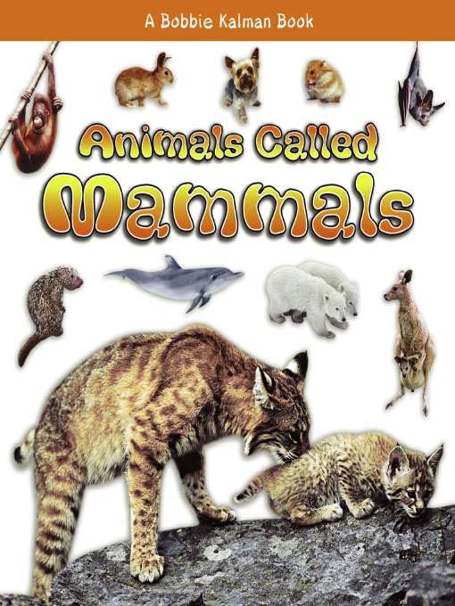 Title details for Animals Called Mammals by Bobbie Kalman - Available